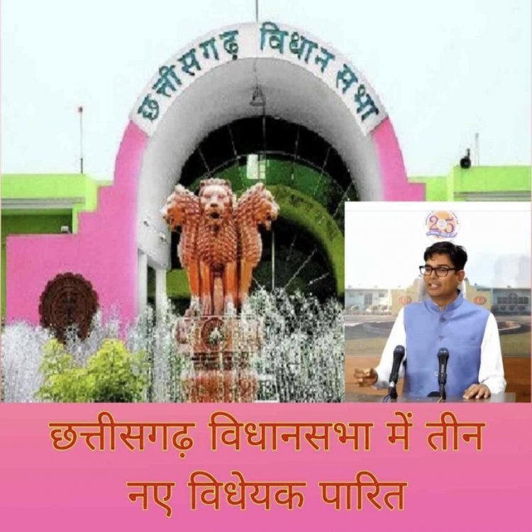 छत्तीसगढ़ विधानसभा में तीन नए विधेयक पारित, प्रदेश के पेंशनभोगियों के लिए अलग से होगी फंड की व्यवस्था, पढ़िए और क्या है खास ?