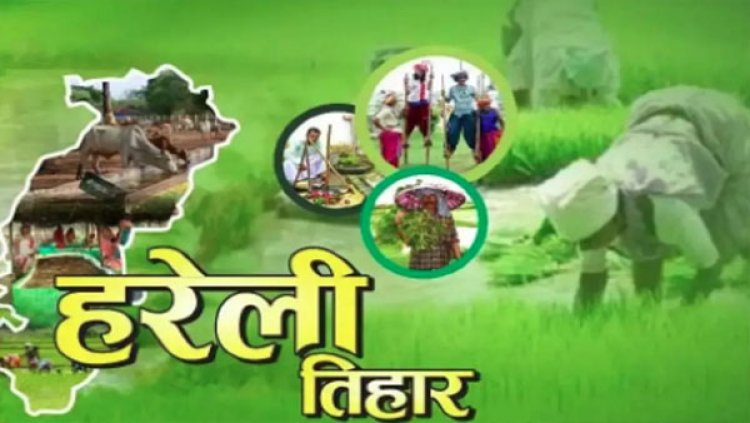 छत्तीसगढ़ की पहली पारम्परिक लोक पर्व हरेली, जानिए क्यों विशेष है यह त्यौहार