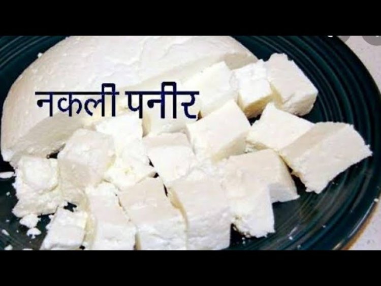 CG -नकली पनीर का गोरखधंधा फिर बेनकाब : राजधानी में पकड़ी गई नकली पनीर की बड़ी खेप, 1535 KG नकली पनीर जब्त