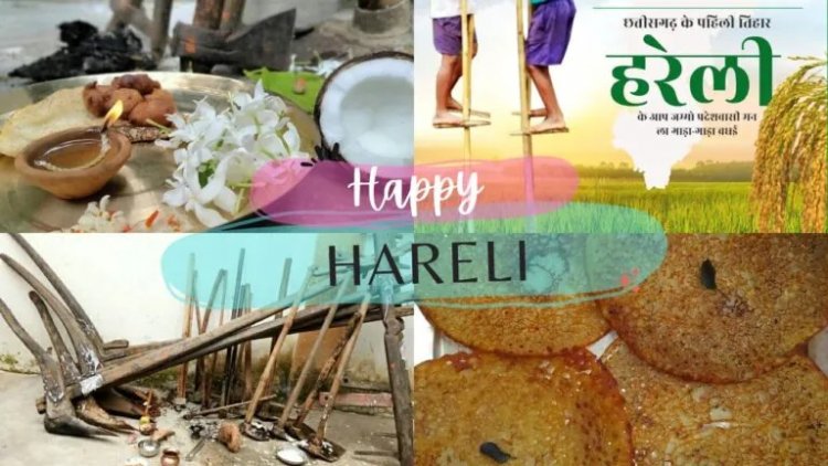 छत्तीसगढ़ का पहला त्योहार ‘हरेली तिहार’ क्यों है खास? जानें परंपराएं, पूजा विधि और पारंपरिक व्यंजन