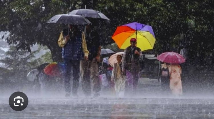 CG Rain Alert : छत्तीसगढ़ में भारी बारिश की चेतावनी, कई जिलों में अलर्ट जारी, इन जिलों में ज्यादा खतरा, जाने मौसम अपडेट