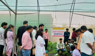 नर्सरी प्रबंधन पर कृषि विज्ञान केन्द्र पाहंदा में प्रशिक्षण संपन्न