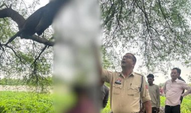 CG: स्कूल के पीछे संदिग्ध हालत में मिला नाबालिग का शव, हत्या या आत्महत्या ?