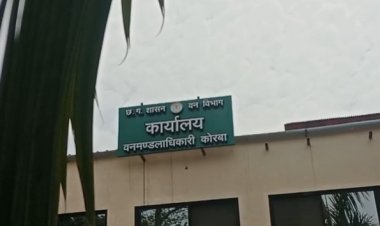 करेंट की चपेट में आने से हाथी की मौत,फसल बचाने किसान ने लगाई थी बिजली की तार..