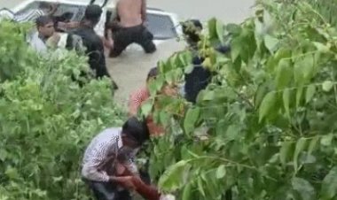 BREKING : मंदिर जा रहे श्रद्धालुओं से भरी बुलेरो नहर में गिरी,11 लोगों की मौत,एक बच्ची लापता..