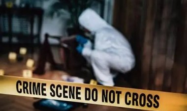 शराब की महफिल में उतरा मौत का साया, गुस्से में दोस्त बना कातिल — डंडे से हमला कर दी जान