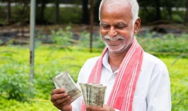 अब सीधे बैंक खाते में आएगा धान का पैसा, भुगतान की प्रक्रिया में बदलाव
