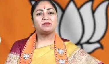 दिल्ली की सीएम रेखा गुप्ता पर आज सुबह जन सुनवाई के दौरान एक शख्स ने अचानक हमला कर दिया