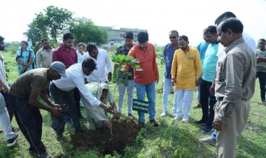 Women for Tree Campaign' का शुभारंभ किये विधायक अनुज