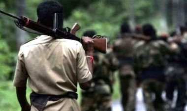 शांति और विकास की ओर अग्रसर बस्तर, 30 इनामी नक्सलियों ने किया आत्मसमर्पण