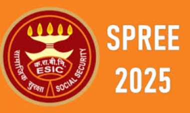 सरकार ने शुरू किया SPREE 2025, श्रमिकों को मिलेगा मज़बूत सामाजिक सुरक्षा कवच….