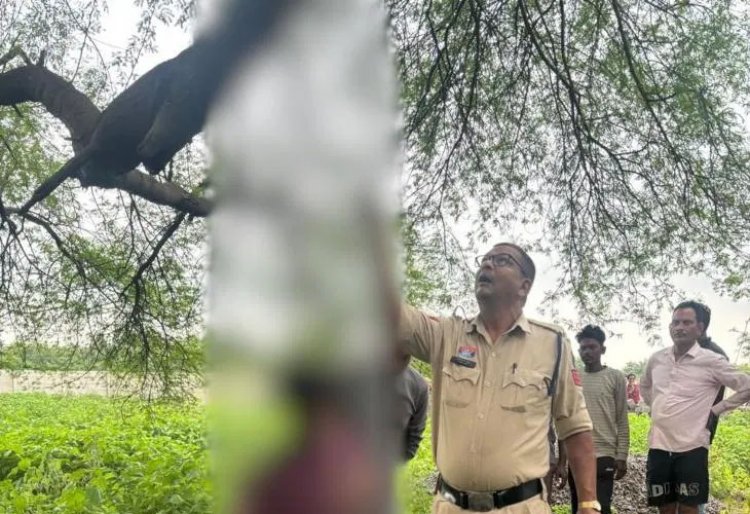 CG: स्कूल के पीछे संदिग्ध हालत में मिला नाबालिग का शव, हत्या या आत्महत्या ?