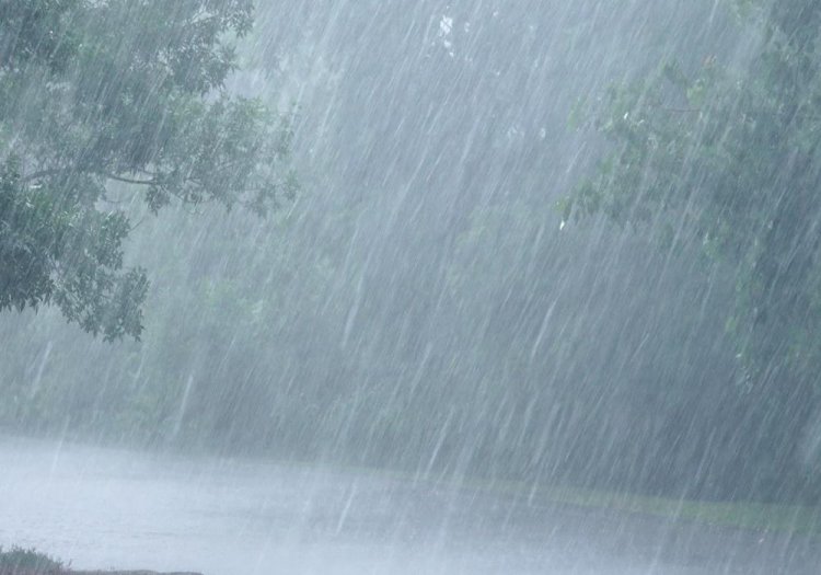 मौसम का बदला मिजाज, कई इलाकों में बारिश का अलर्ट जारी, बस्तर से लेकर रायपुर तक बादलों का रहेगा डेरा