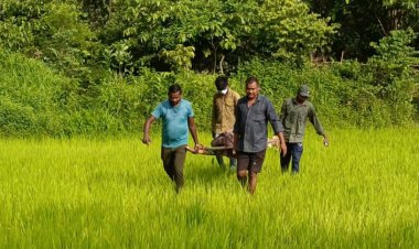 CG : खेत में मिली युवक की लाश, इलाके में फैली दहशत