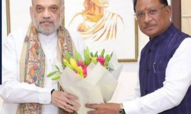 अमित शाह से सौजन्य भेंट में छत्तीसगढ़ सरकार ने साझा की सुरक्षा और विकास की उपलब्धियां
