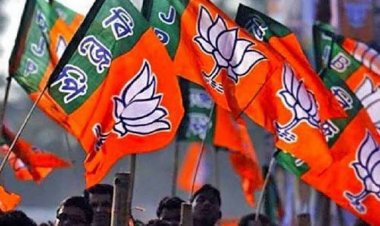 CG : भाजपा जिला पदाधिकारी की नई टीम घोषित, कई नए चेहरों को मिला जिम्मा