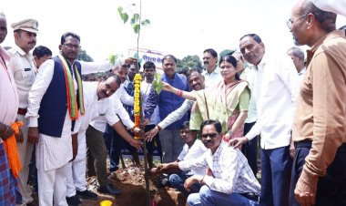 वन मंत्री केदार कश्यप ने महुपाल बरई में लगाया पीपल का पौधा