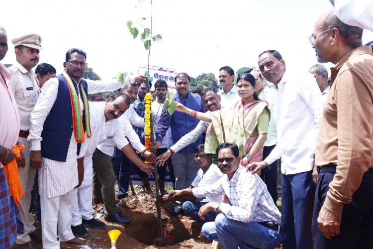 वन मंत्री केदार कश्यप ने महुपाल बरई में लगाया पीपल का पौधा