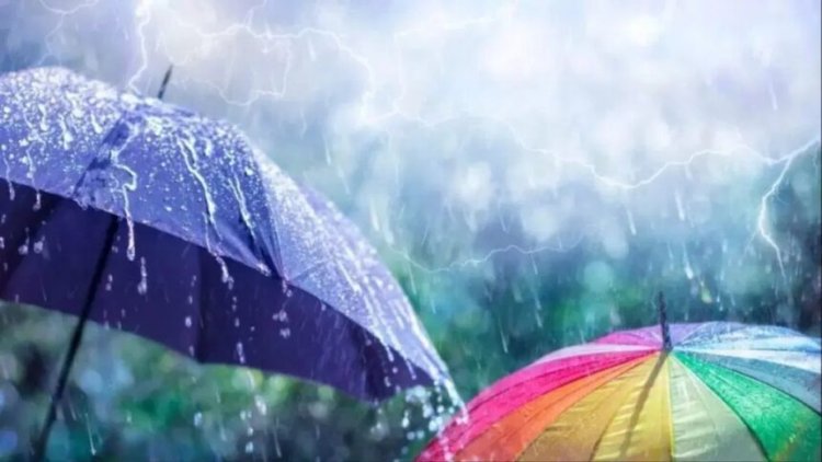 छत्तीसगढ़ में मानसून अब भी सक्रिय, मौसम विभाग ने इन संभागों के लिए जारी किया अलर्ट, बिजली गिरने की भी चेतावनी