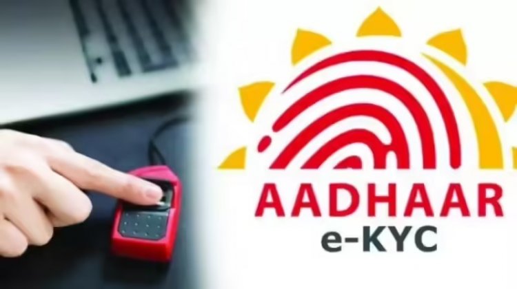 Chhattisgarh : सरकारी कर्मचारियों के लिए बड़ी खबर, 30 सितम्बर से पहले कराएं e-KYC…. नहीं तो अटक सकती है सैलरी