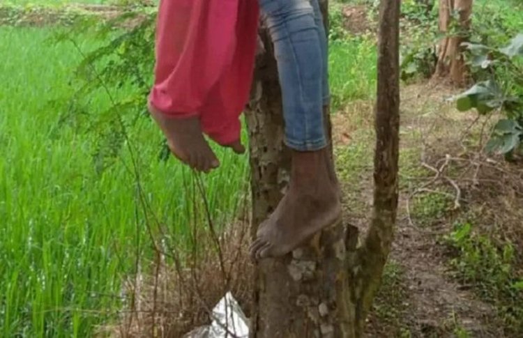 CG : प्रेमी जोड़े ने फांसी लगाकर दी जान, पेड़ से लटकती मिली लाश