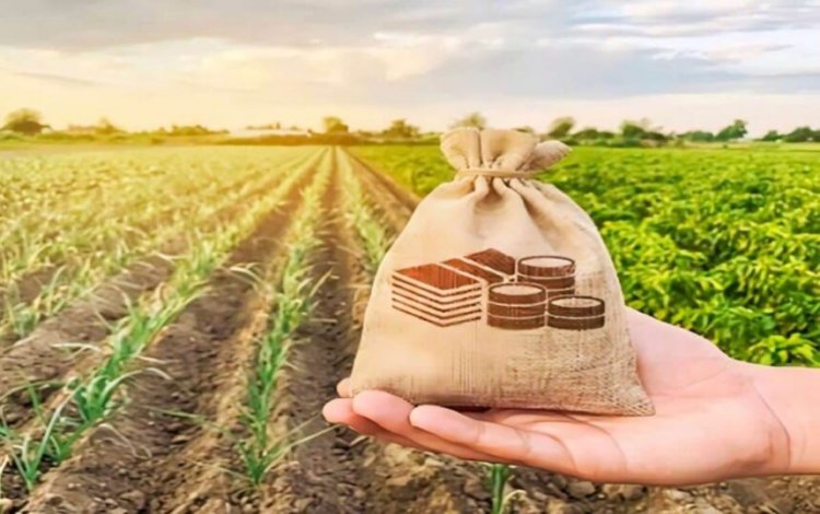 CG NEWS : कृषि भूमि का बाजार मूल्य अब हेक्टेयर दर से होगा निर्धारित, कई नियमों में हुआ संशोधन