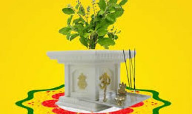 कब है तुलसी विवाह, जानें सही तिथि और शुभ मुहूर्त