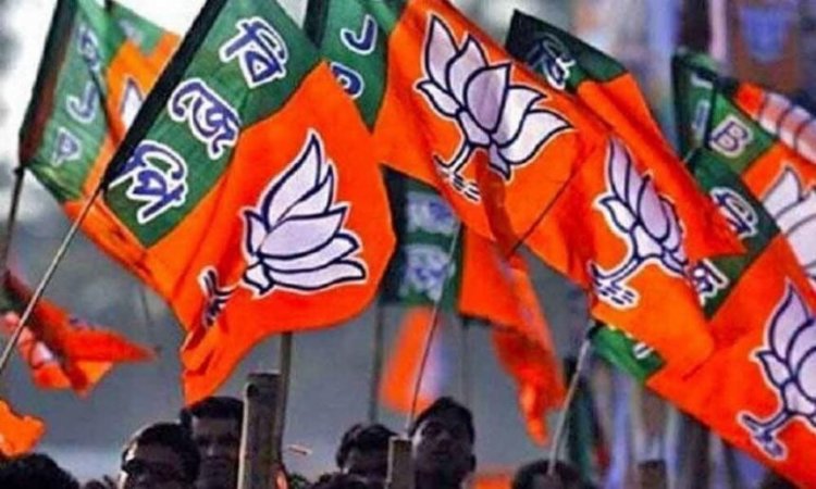BREAKING : भाजपा जिला पदाधिकारियों की घोषणा, जानिए किन्हे मिली उपाध्यक्ष, मंत्री और कोषाध्यक्ष की जिम्मेदारी