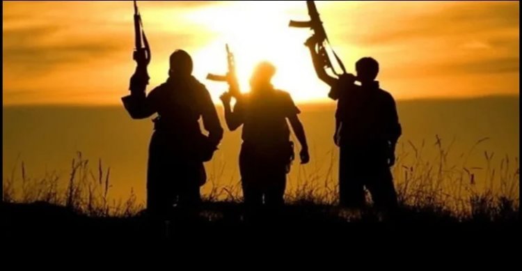 खात्मे की ओर नक्सलवाद… नक्सल प्रभावित जिलों की संख्या में आई कमी, अब सिर्फ 3 जिले सबसे ज्यादा प्रभावित