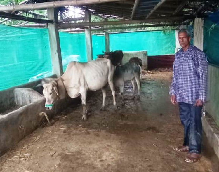 मनरेगा से बदली किस्मत : साय सरकार की योजनाओं से रामफल बने आत्मनिर्भर किसान