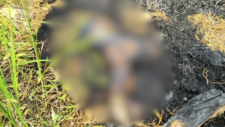 CG – युवती की मिली जली लाश : इलाके में फैली सनसनी, जताई जा रही ये आशंका