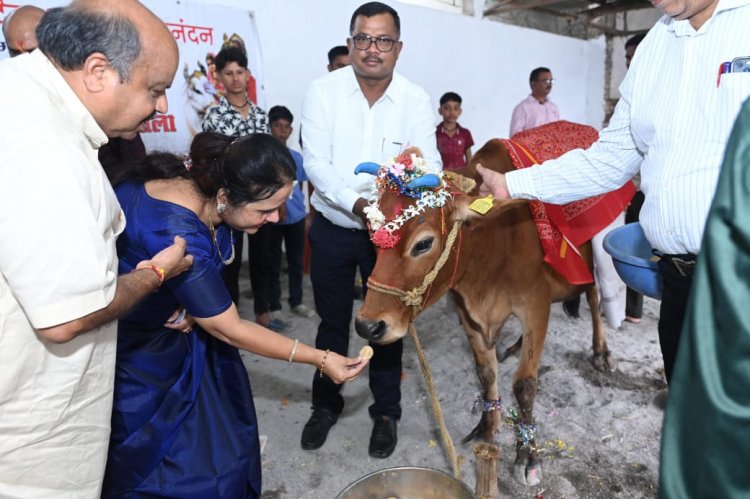 महापौर मीनल चौबे ने गोपाष्टमी पर महाबीर गौशाला में की गौवंश की गौग्रास खिलाकर सेवा
