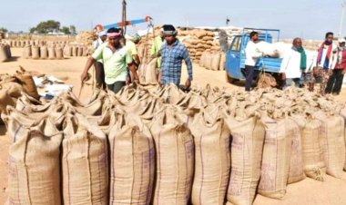 Breaking : धान खरीदी पर बड़ा अपडेट; 15 नहीं अब इस दिन से शुरु होगी खरीदी, कलेक्टर का बड़ा ऐलान
