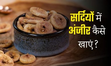 सर्दियों में क्यों बढ़ जाती है अंजीर की डिमांड? डॉक्टर ने बताया सेहत का असली ‘विंटर फॉर्मूला’