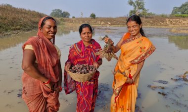 मछली पालन और सिंघाड़ा खेती से बढ़ी महिला स्व-सहायता समूह की आमदनी