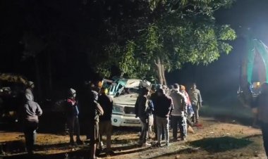 CG : पेड़ से टकराई श्रद्धालुओं से भरी बोलेरो, एक युवक की मौत, 7 घायल