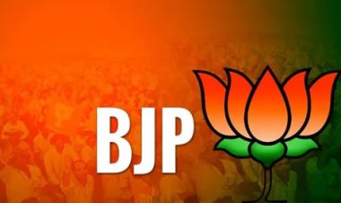Breaking : छत्तीसगढ़ में बीजेपी की विधानसभावार प्रभारियों की हुई नियुक्ति, देखें किन नेताओं को मिला प्रभार