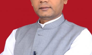 भाजपा सरकार में जंगल कटाई और खनिज संसाधनों की लूट का खुला खेल- कांग्रेस