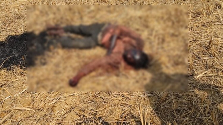 Murder : रायपुर में फिर मर्डर, युवक की हत्या कर जलाई लाश, इलाके में दहशत