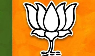 CG : भाजपा जिला संगठन का विस्तार, नवनियुक्त पदाधिकारियों को सौंपे गए नए दायित्व