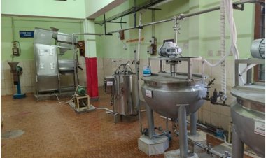 वन विभाग का नवाचार : बस्तर की इमली चटनी को राष्ट्रीय पहचान दिलाएंगी सुकमा की महिलाएं…..