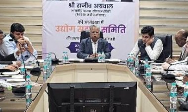  एमएसएमई संघों की प्रथम इंडस्ट्रियल कमेटी की बैठक संपन्न