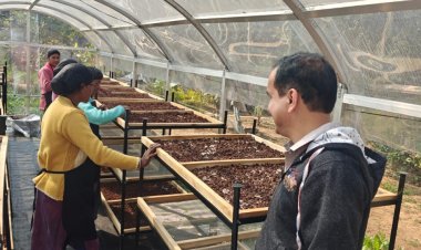 जशपुर में DST प्रायोजित परियोजना के तहत सोलर टनल ड्रायर की स्थापना