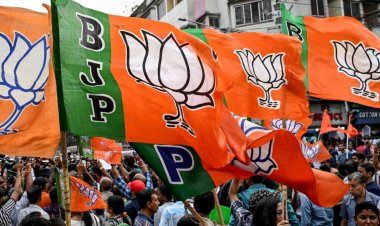 भाजपा की IT सेल की प्रदेश कार्यकारिणी घोषित, 28 सदस्यों को सौंपी अलग-अलग जिम्मेदारियाँ