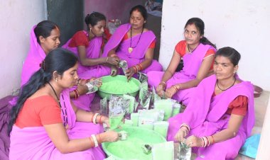  इस बार प्राकृतिक रंगों से रंगीन होगी होली : स्व सहायता समूह की महिलाएं कर रही है प्राकृतिक गुलाल का निर्माण