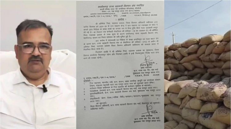 CG - चूहा खा गए 7 करोड़ का धान, अब घोटाले में प्रशासन का बड़ा एक्शन, DMO निलंबित