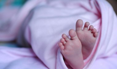 शर्मनाक : नहर में तैरता मिला नवजात का शव, इलाके में फैली सनसनी, जांच में जुटी पुलिस…