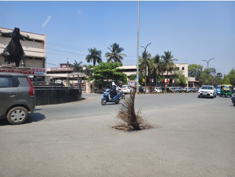 स्मार्ट सिटी रायपुर की हकीकत : मुख्य मार्ग के गड्ढे में झाड़ी, बदहाल व्यवस्था