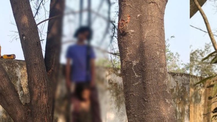 CG - फांसी के फंदे पर लटकती मिली दो दोस्तों की लाश, पूरे गांव में फैली सनसनी...पढ़िये पूरी खबर..!!