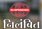 स्कूल शिक्षा विभाग ने DEO को किया निलंबित, जानिए पूरा मामला…
